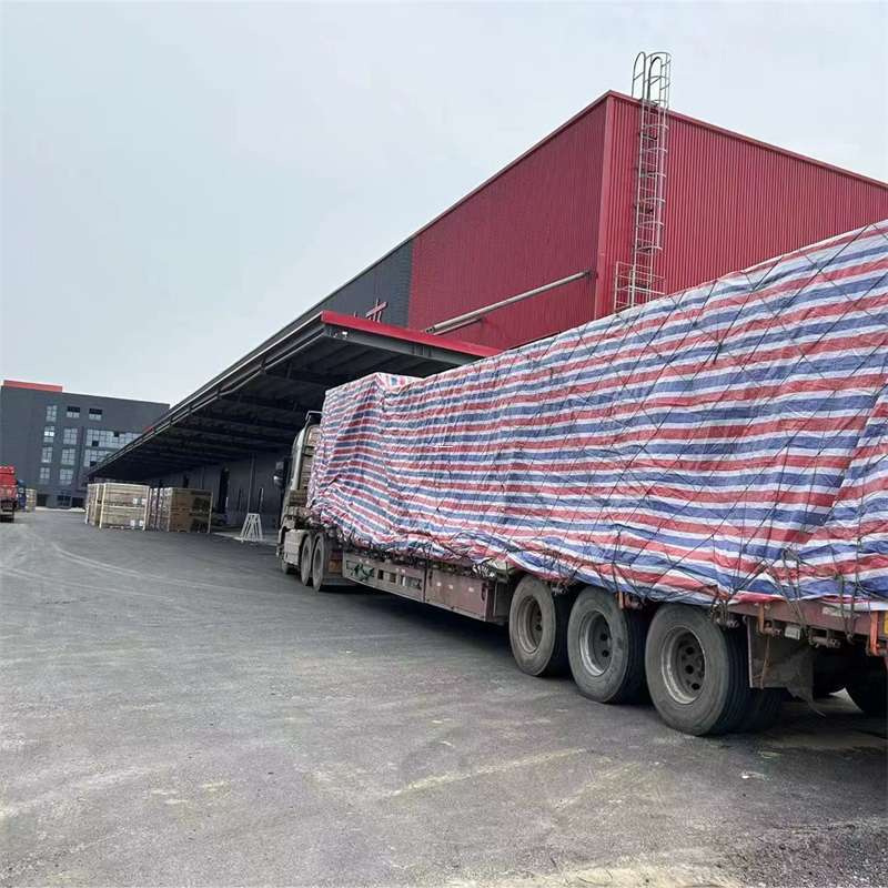 随县渝中区物流：多元服务与运输线路探秘